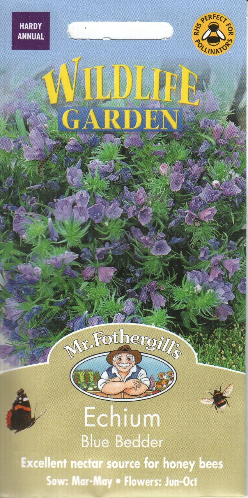 Harilik ussikeel "Blue Bedder"