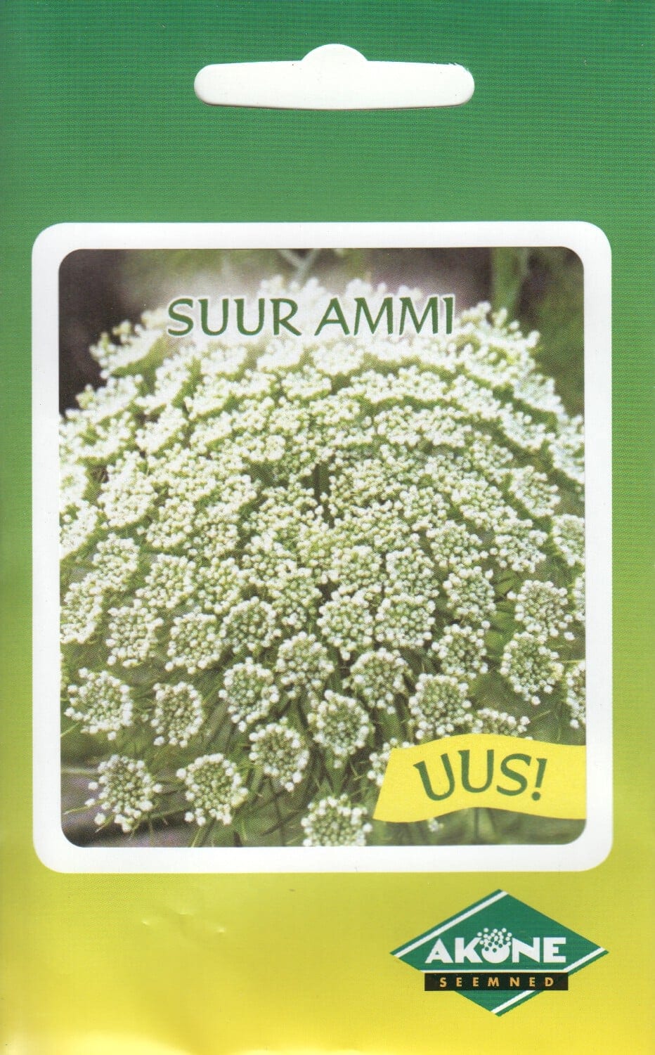 Suur ammi