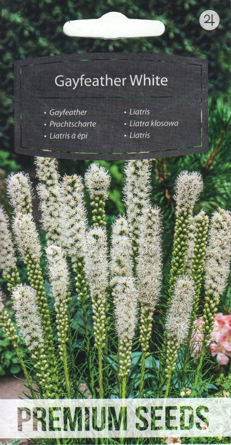 Tähkjas liatris valge