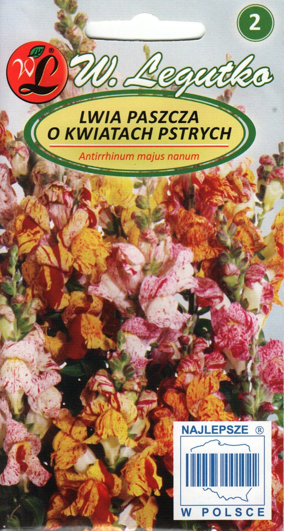 Lõvilõug "Tutti Frutti"