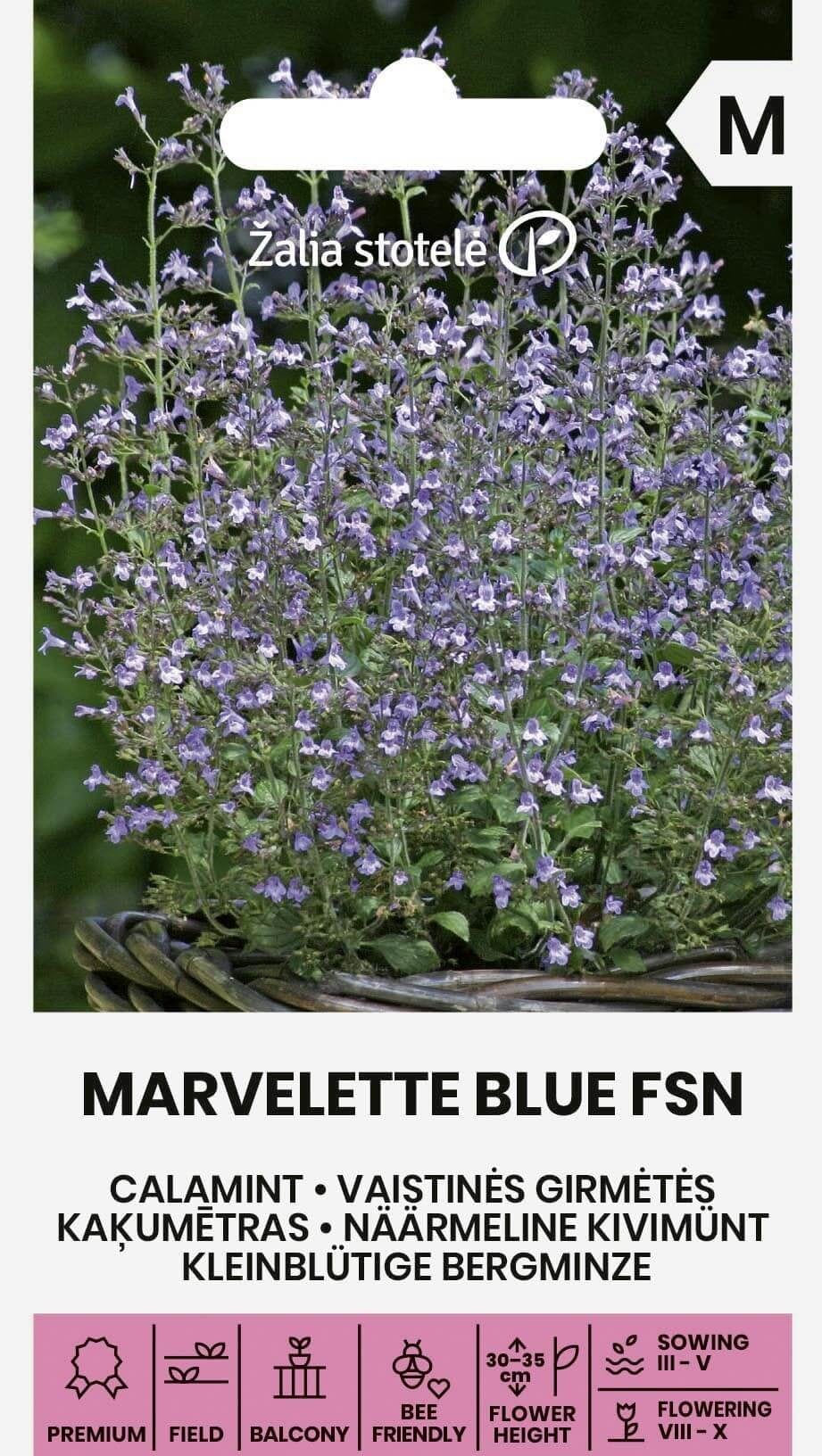 Näärmeline kivimünt "Marvelette Blue FSN"