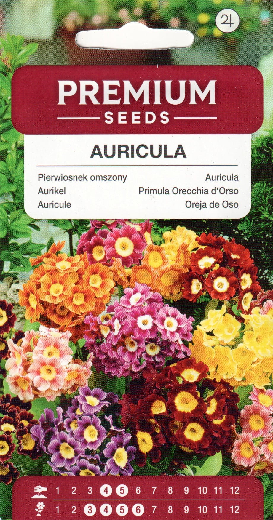 Kõrvikpriimula segu