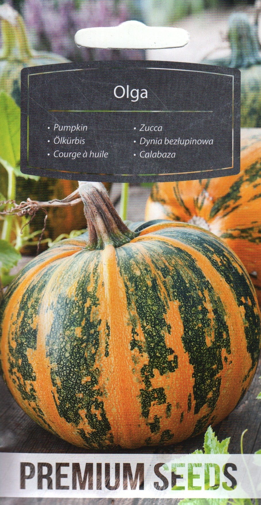 Õlikõrvits "Olga"