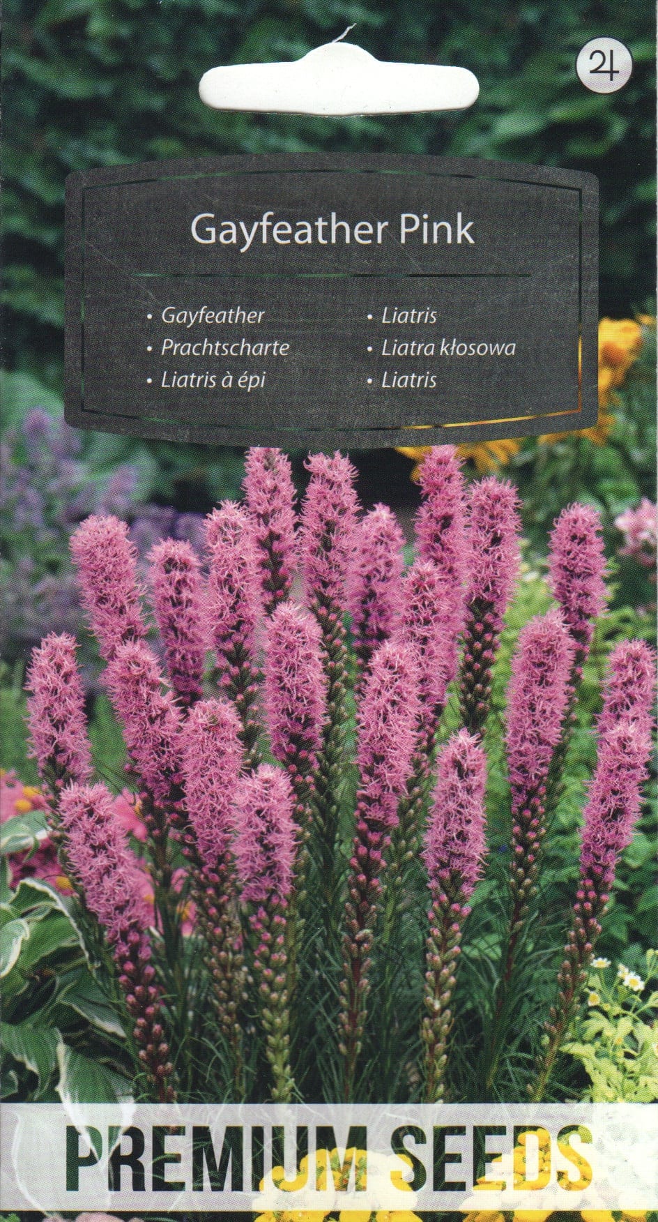 Tähkjas liatris roosa