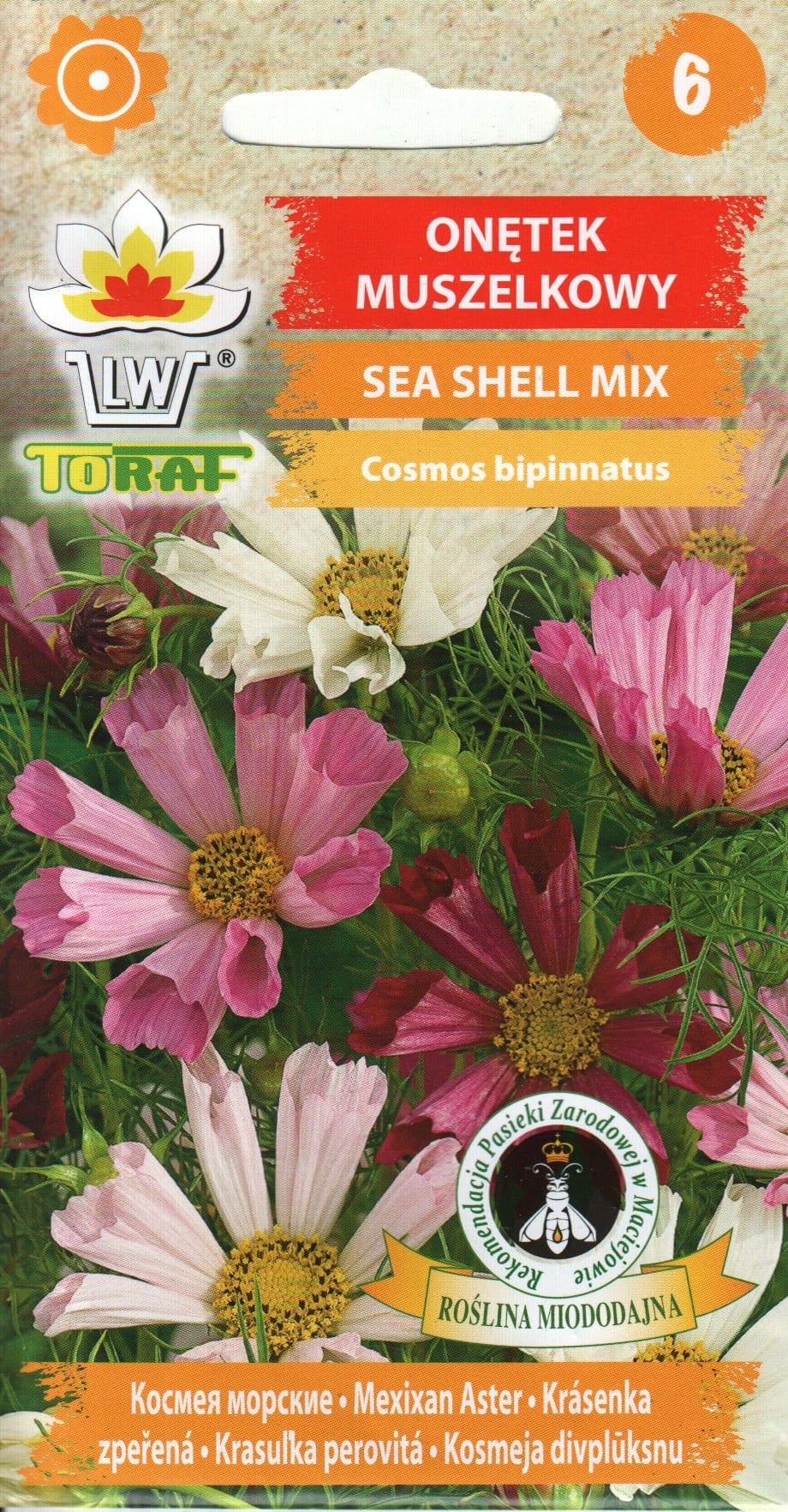 Kosmos "Sea Shells Mixed"