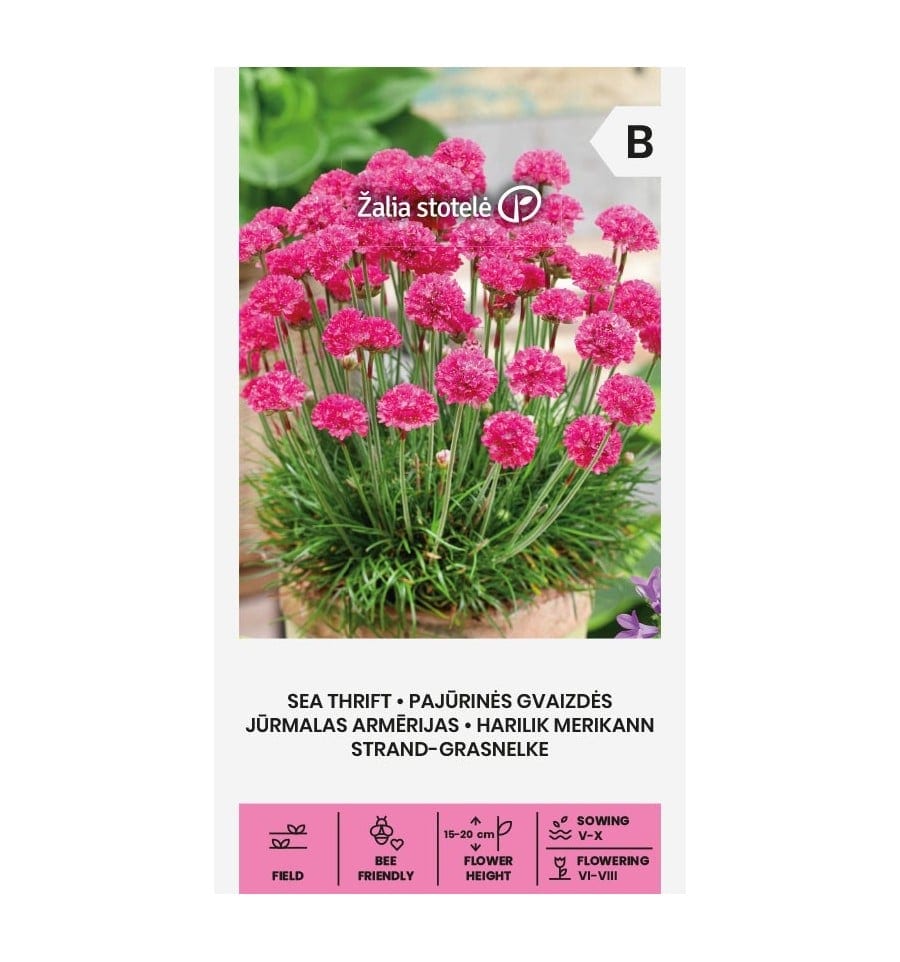Harilik merikann "Pink Sea"