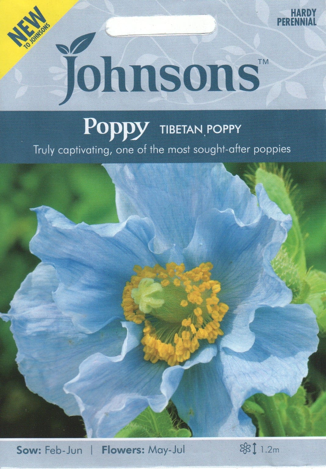 Tõnnikeselehine ebamagun "Tibetan Poppy"