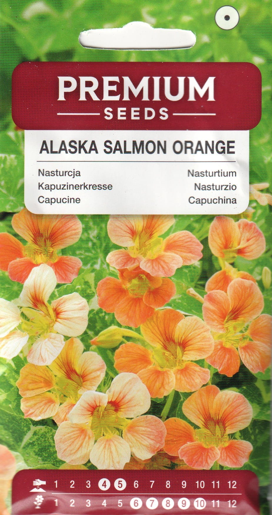 Suur mungalill "Alaska Salmon Orange"