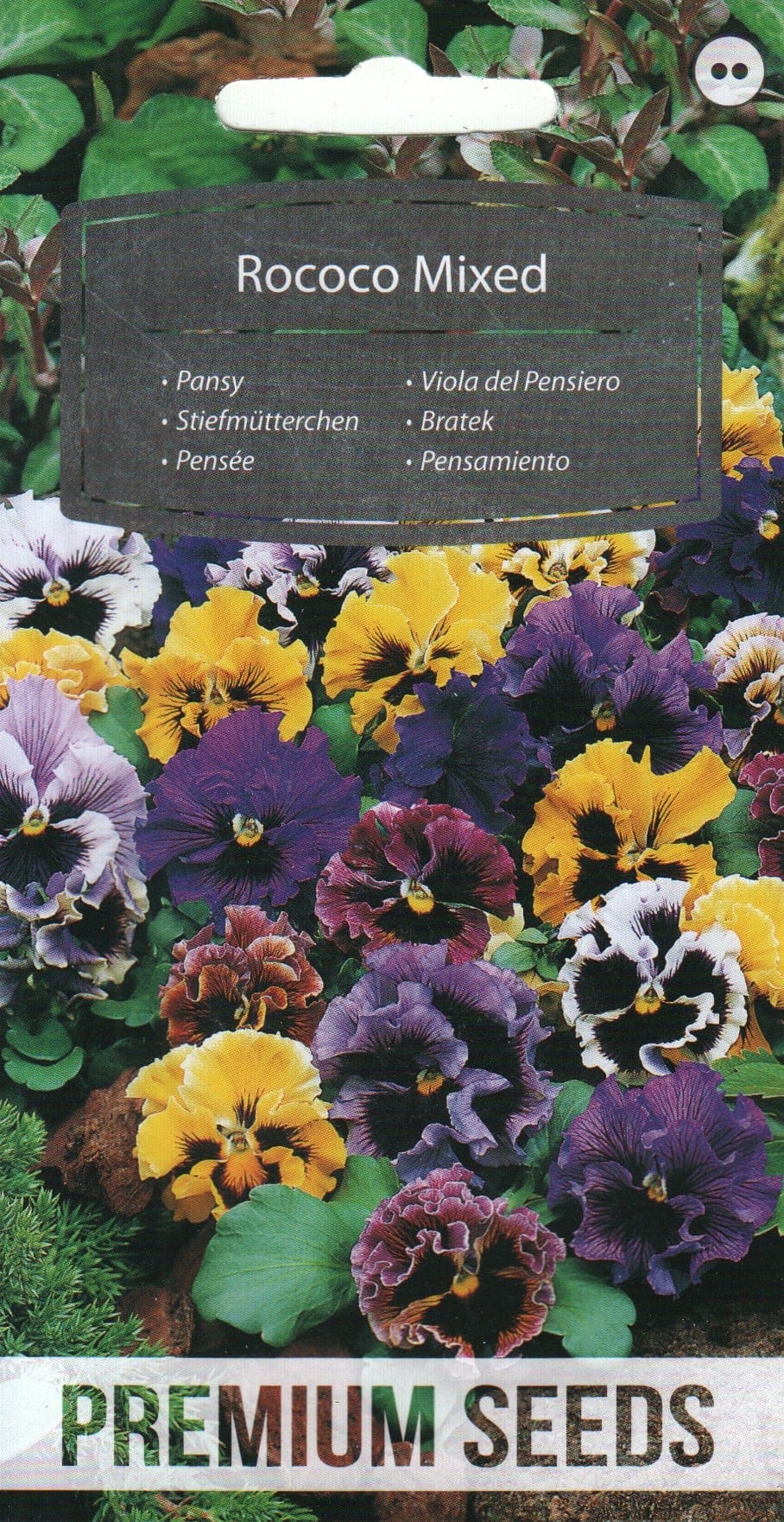 Võõrasema "Rococo Mixed"