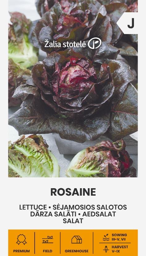 Rooma salat "Rosaine"