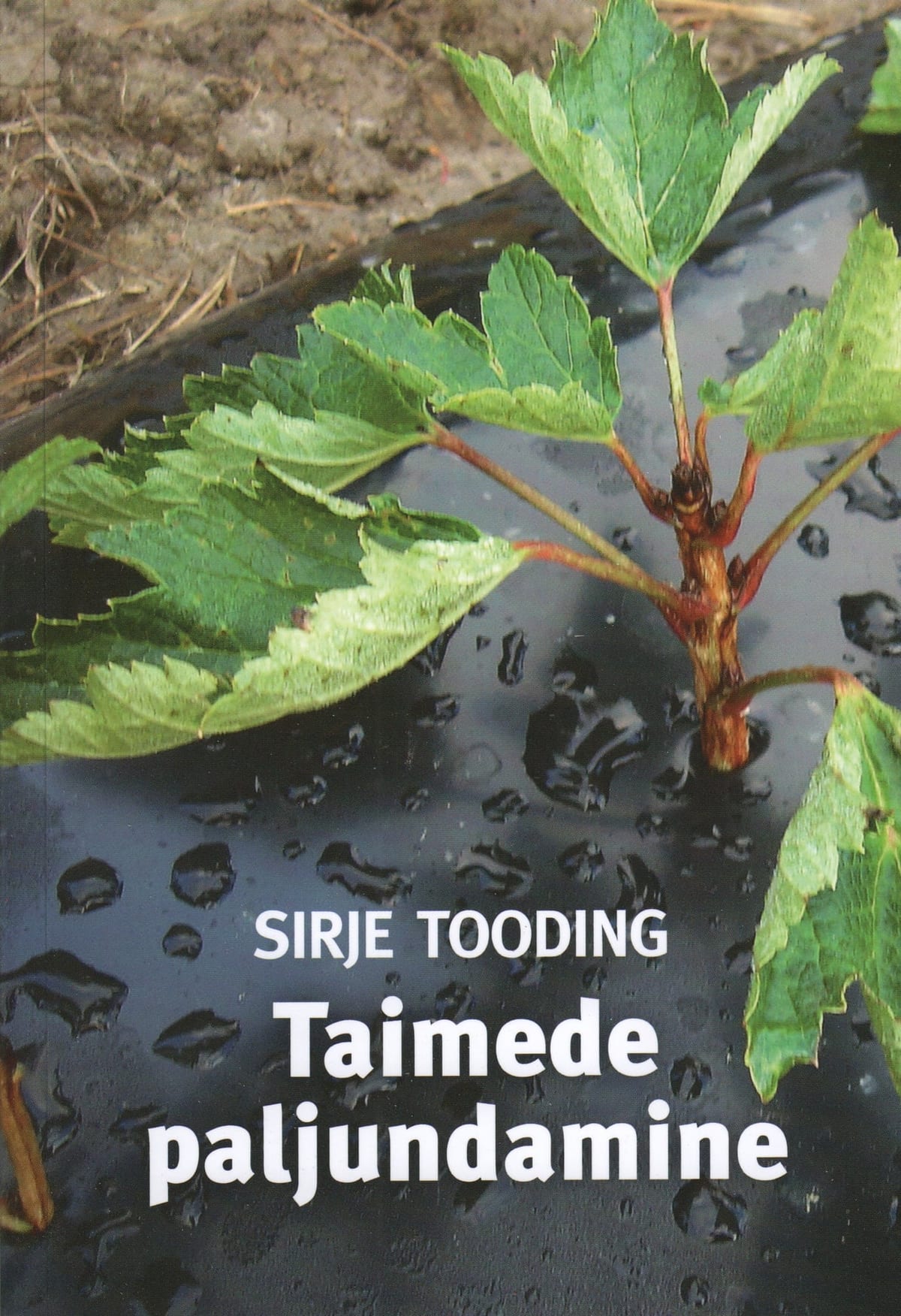 "Taimede paljundamine"