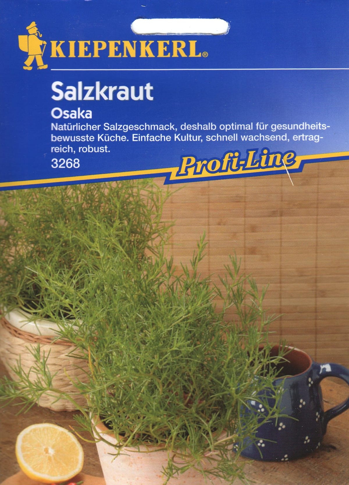 Salsola "Osaka"