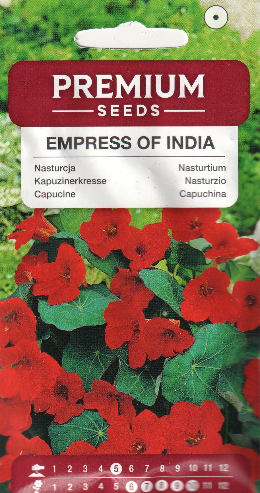 Suur mungalill "Empress of India"