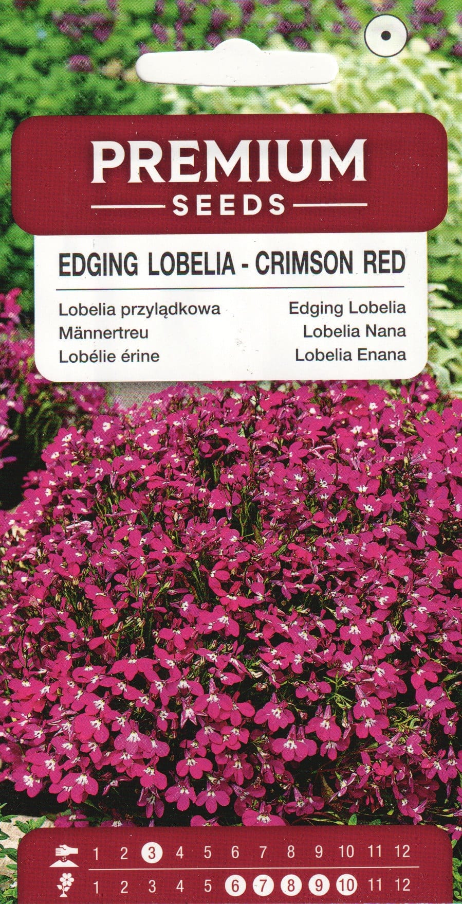 Lobeelia "Crimson Red"