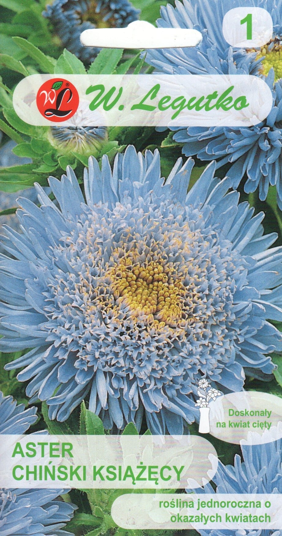 Aster sinine