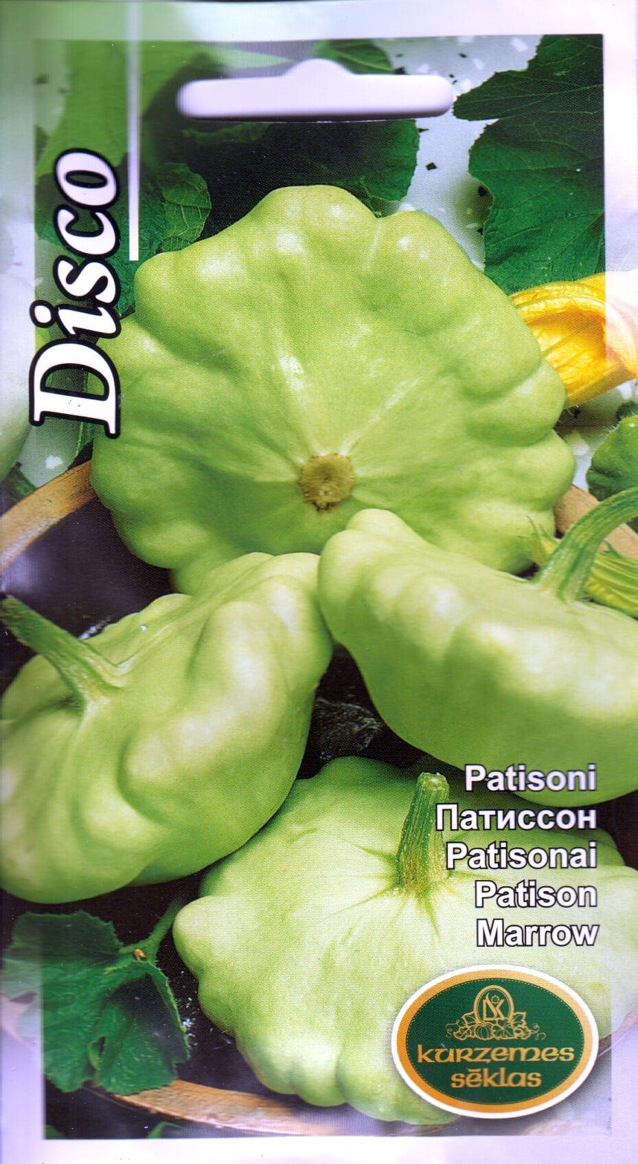 Patisson "Disco"