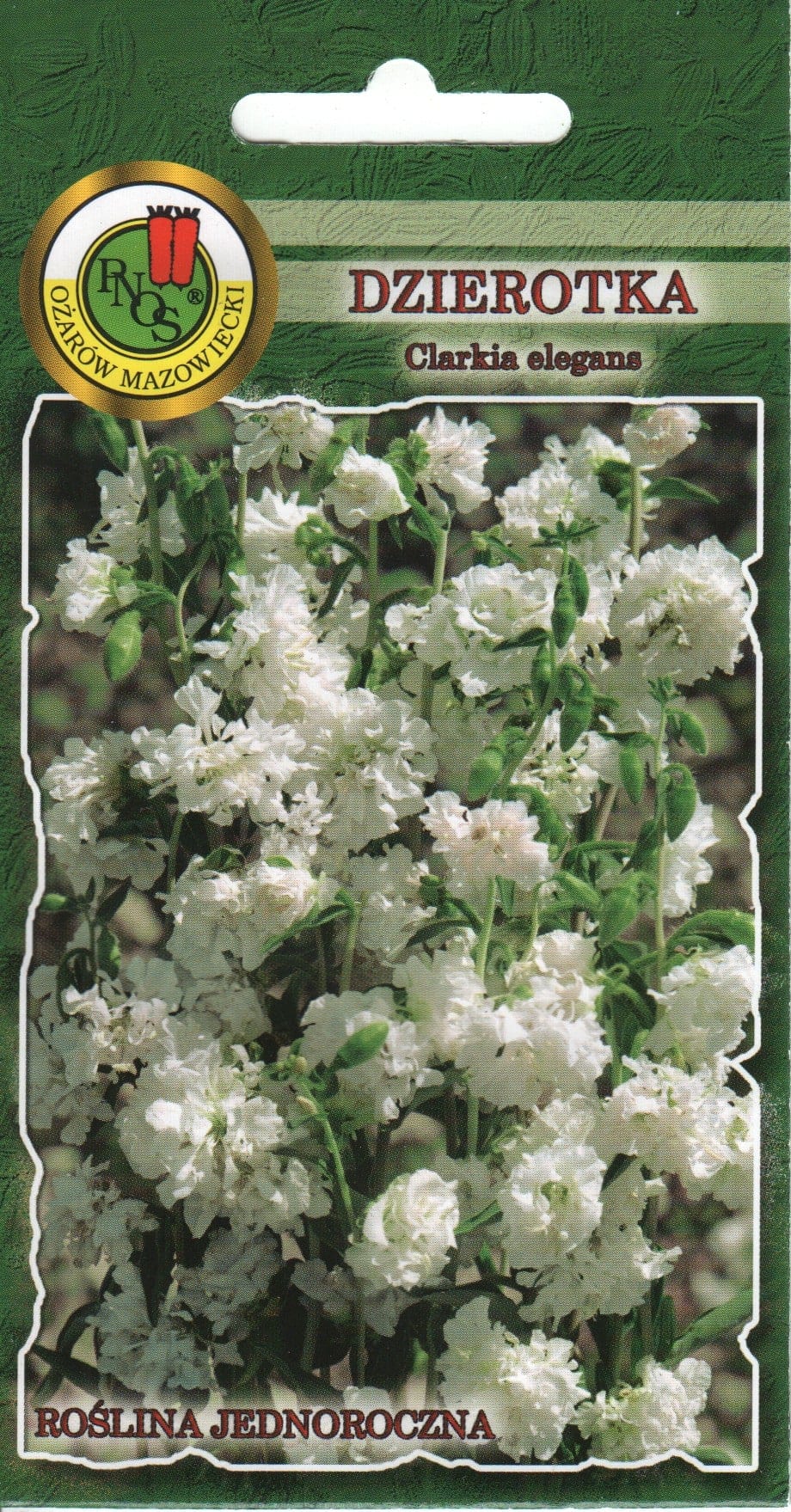Elegantne klarkia valge