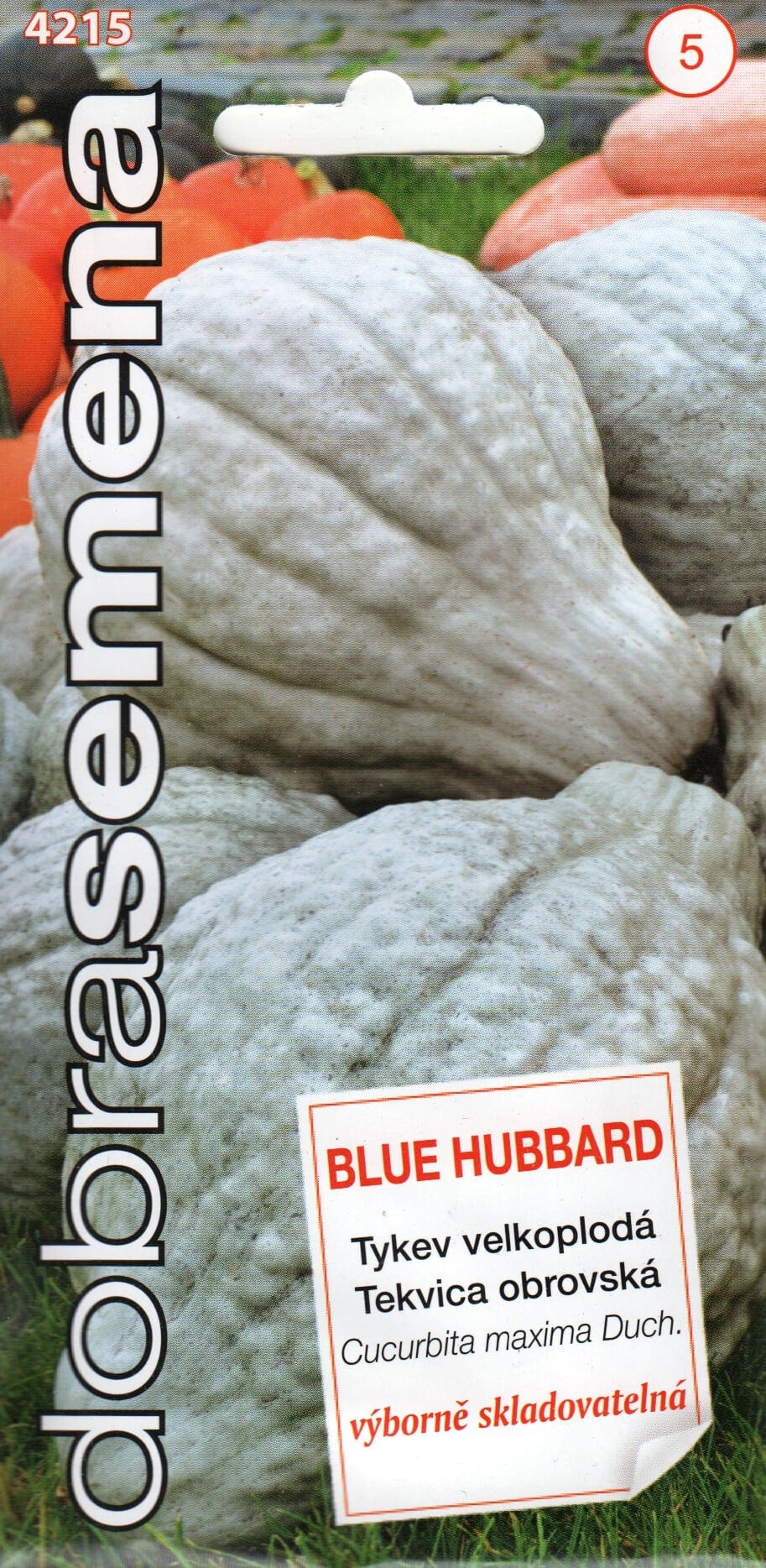 Kõrvits "Blue Hubbard"