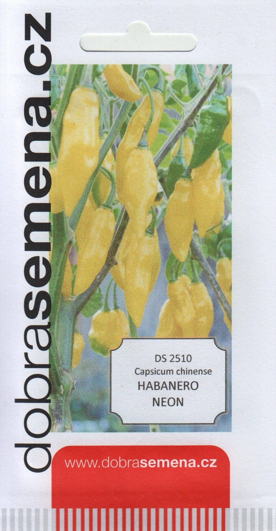 Kariibi paprika "Habanero Neon"