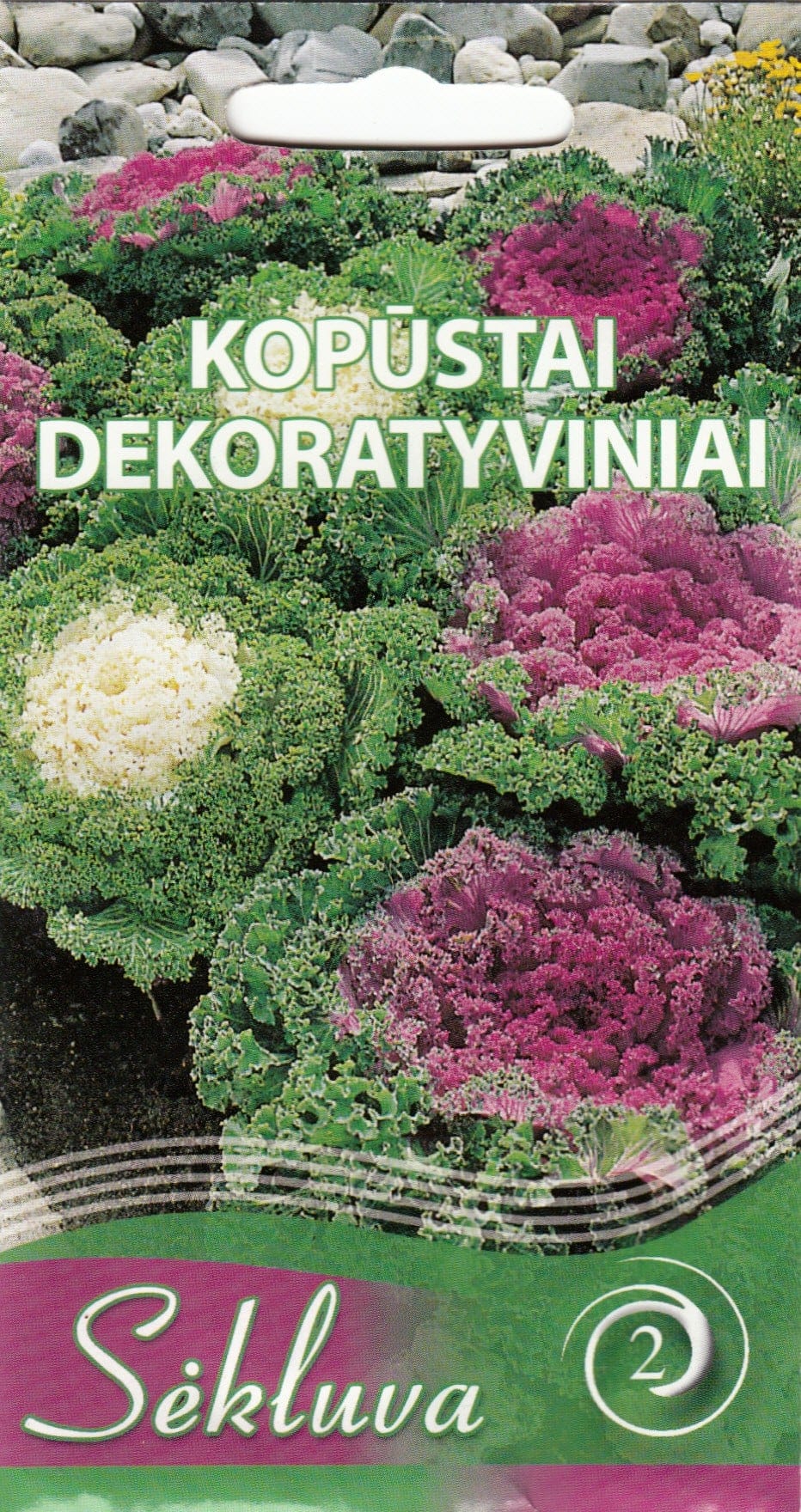 Dekoratiivkapsas "Curled Leaved"