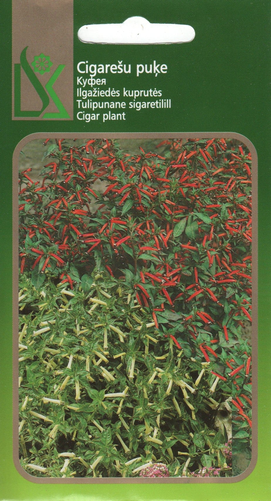 Tulipunane sigaretilill segu