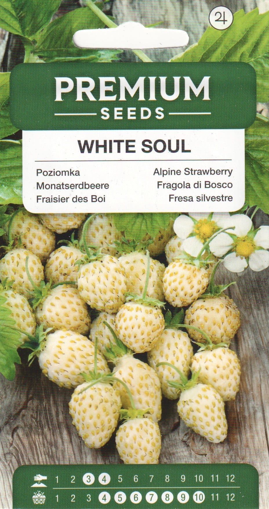 Kuumaasikas "White Soul"
