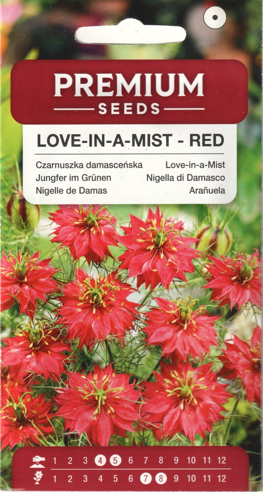 Türgi mustköömen "Love In a Mist Red"