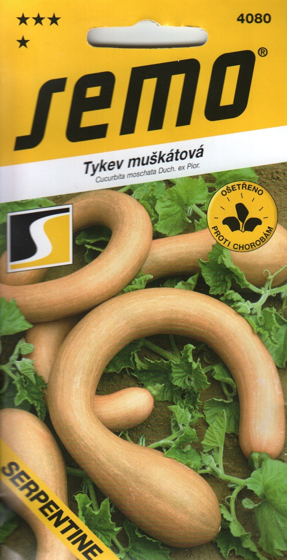 Muskaatkõrvits "Serpentine" F1