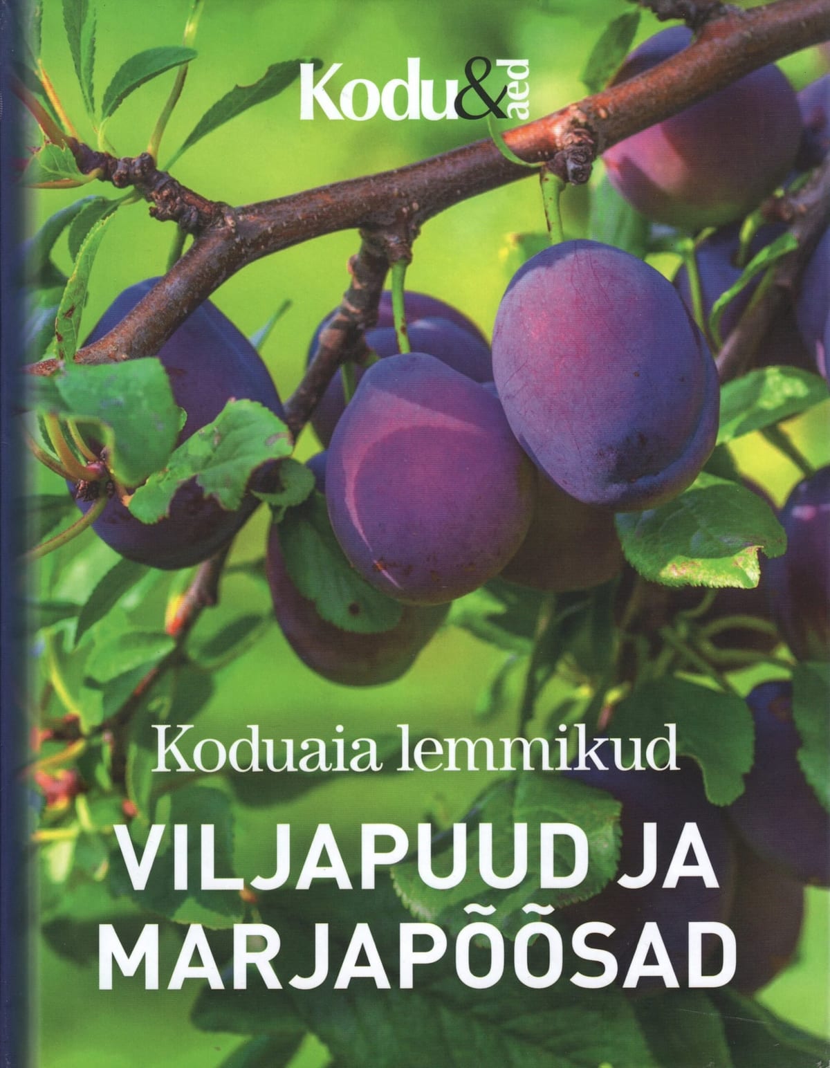 "Koduaia lemmikud viljapuud ja marjapõõsad"