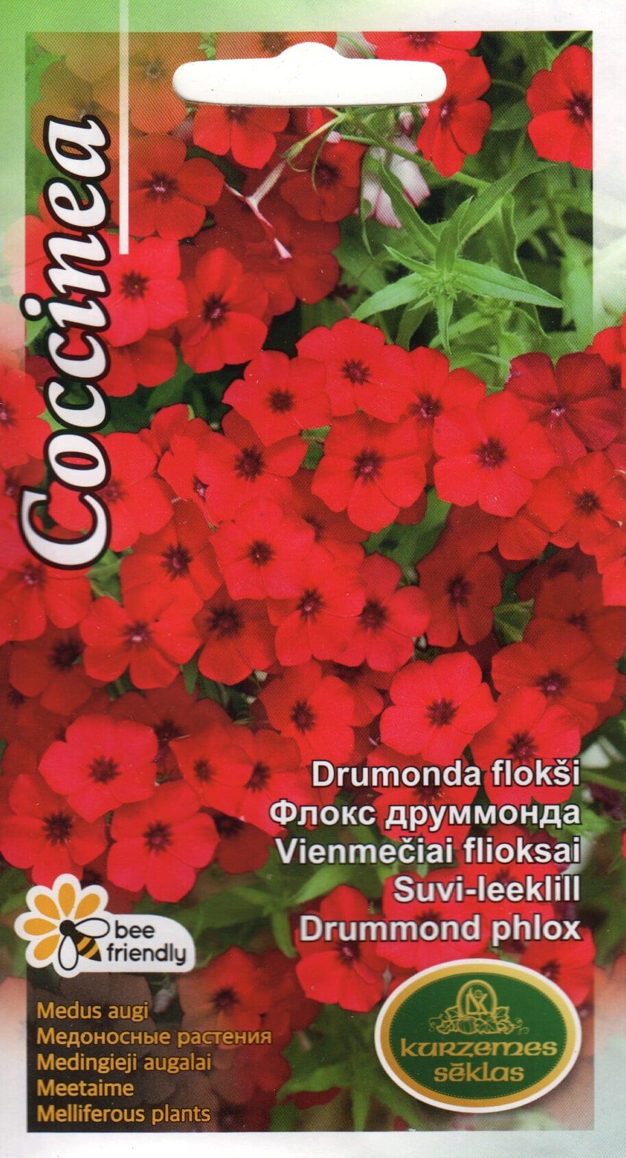 Suvi-leeklill "Coccinea"
