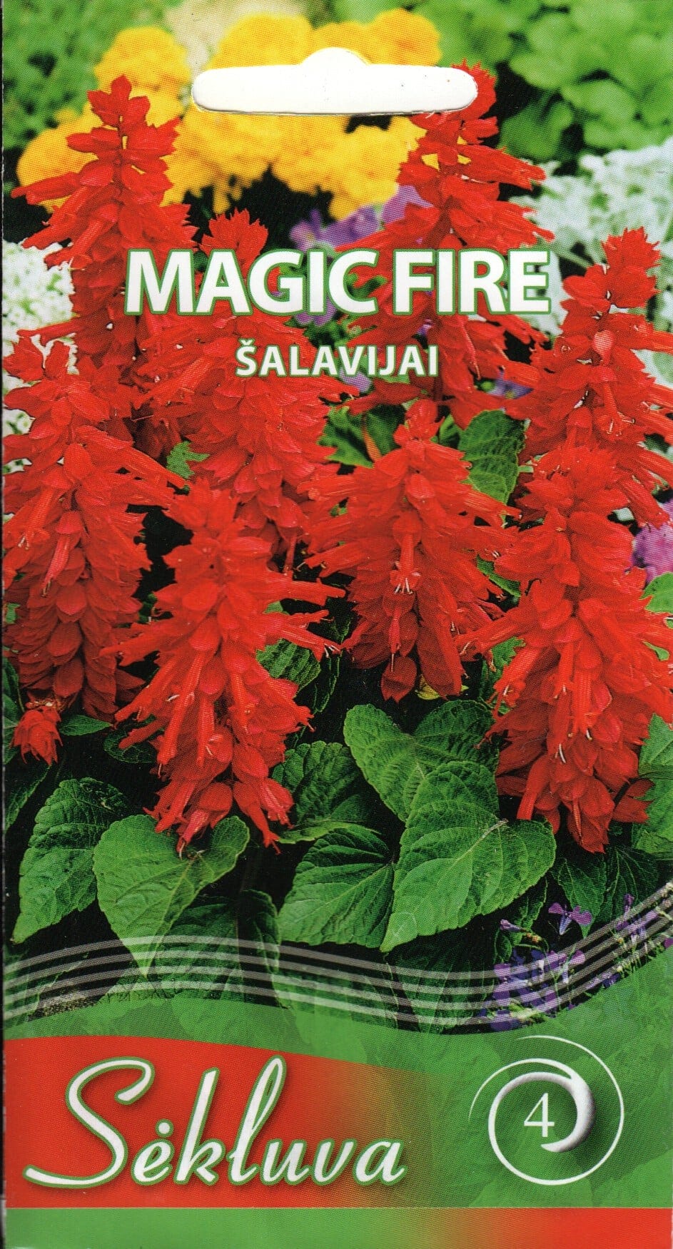 Leeksalvei "Magic Fire"