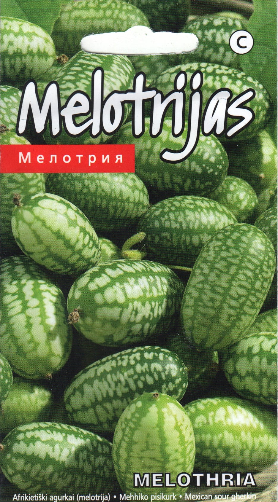 Mehhiko pisikurk