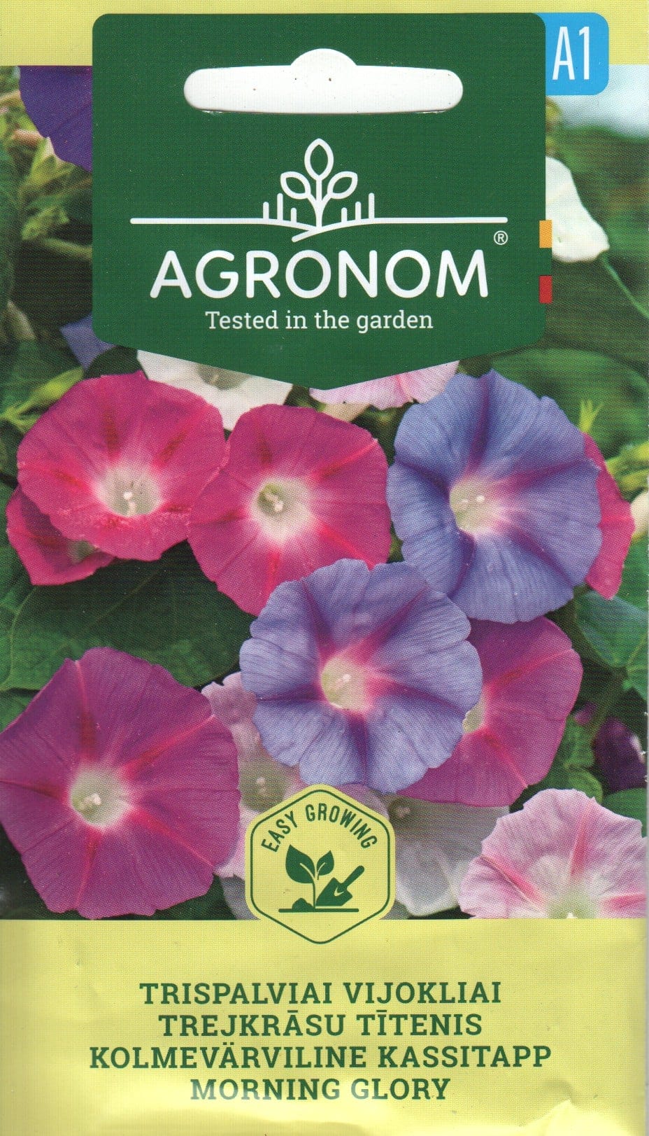 Kolmevärviline kassitapp "Morning Glory"