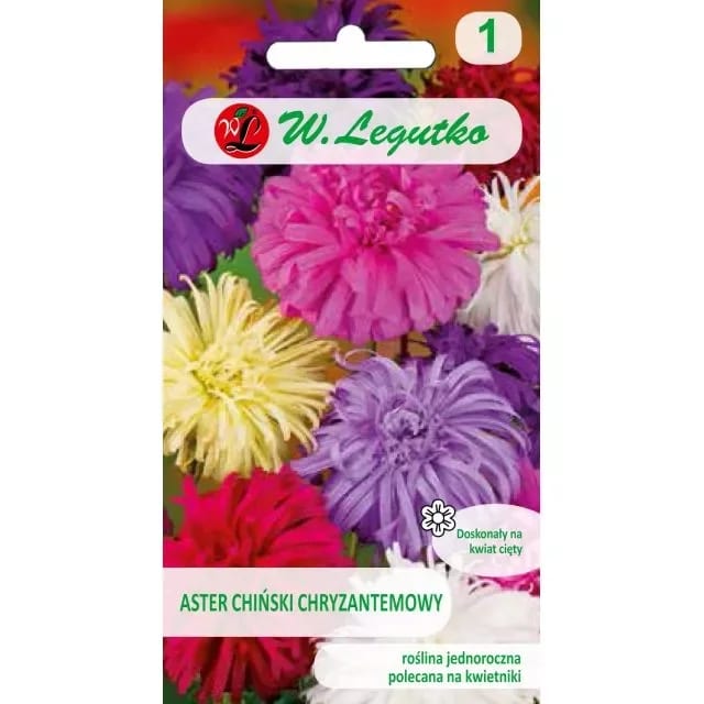 Aster krüsanteemiõieline segu