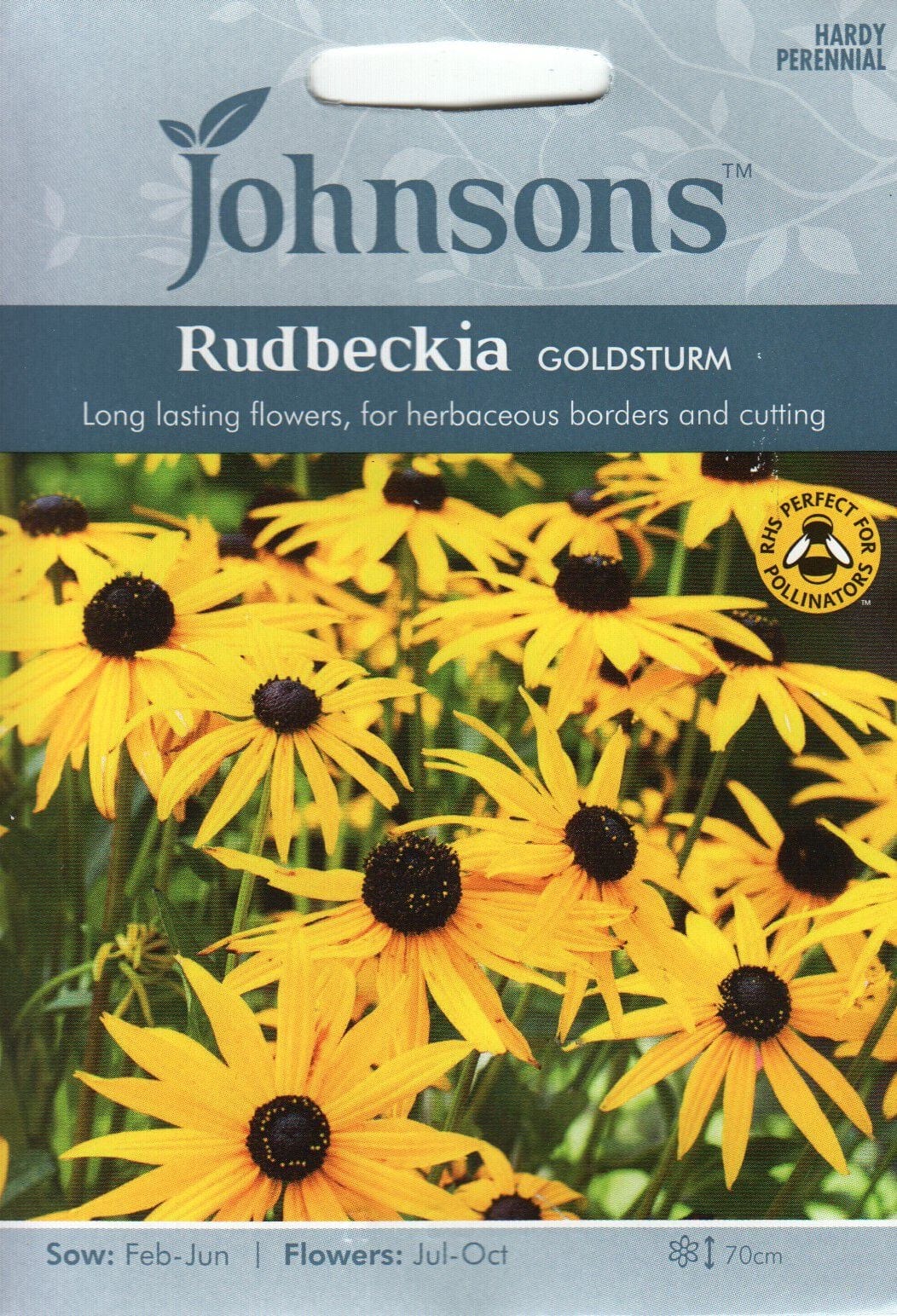 Särav päevakübar "Goldsturm"