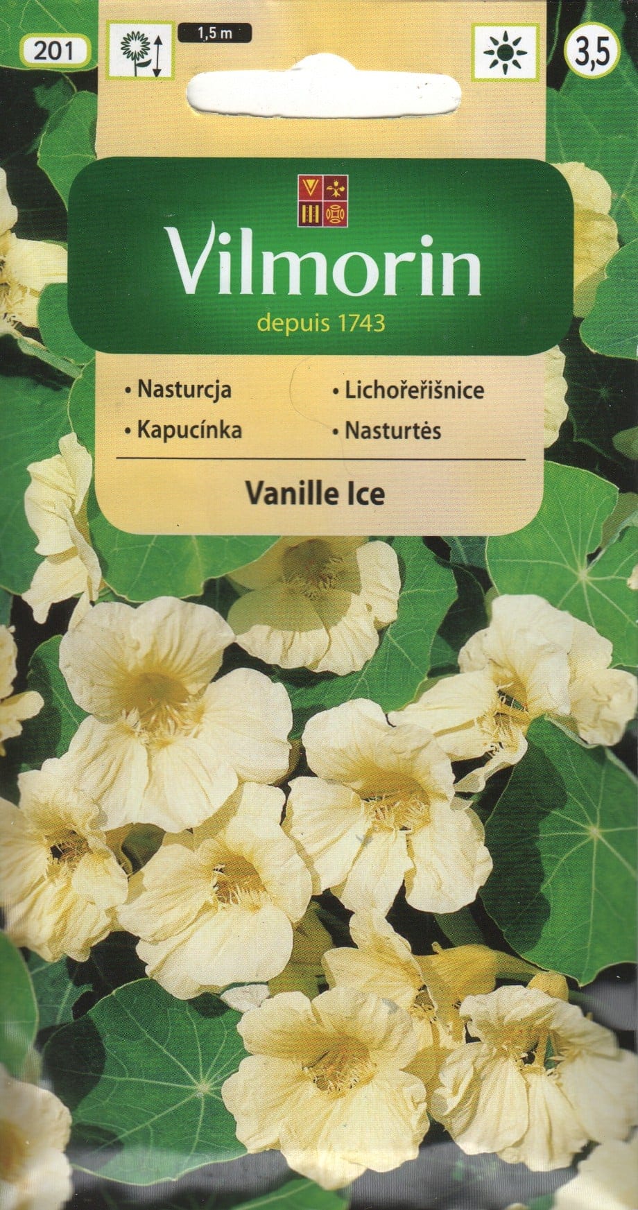 Suur mungalill "Vanille Ice"