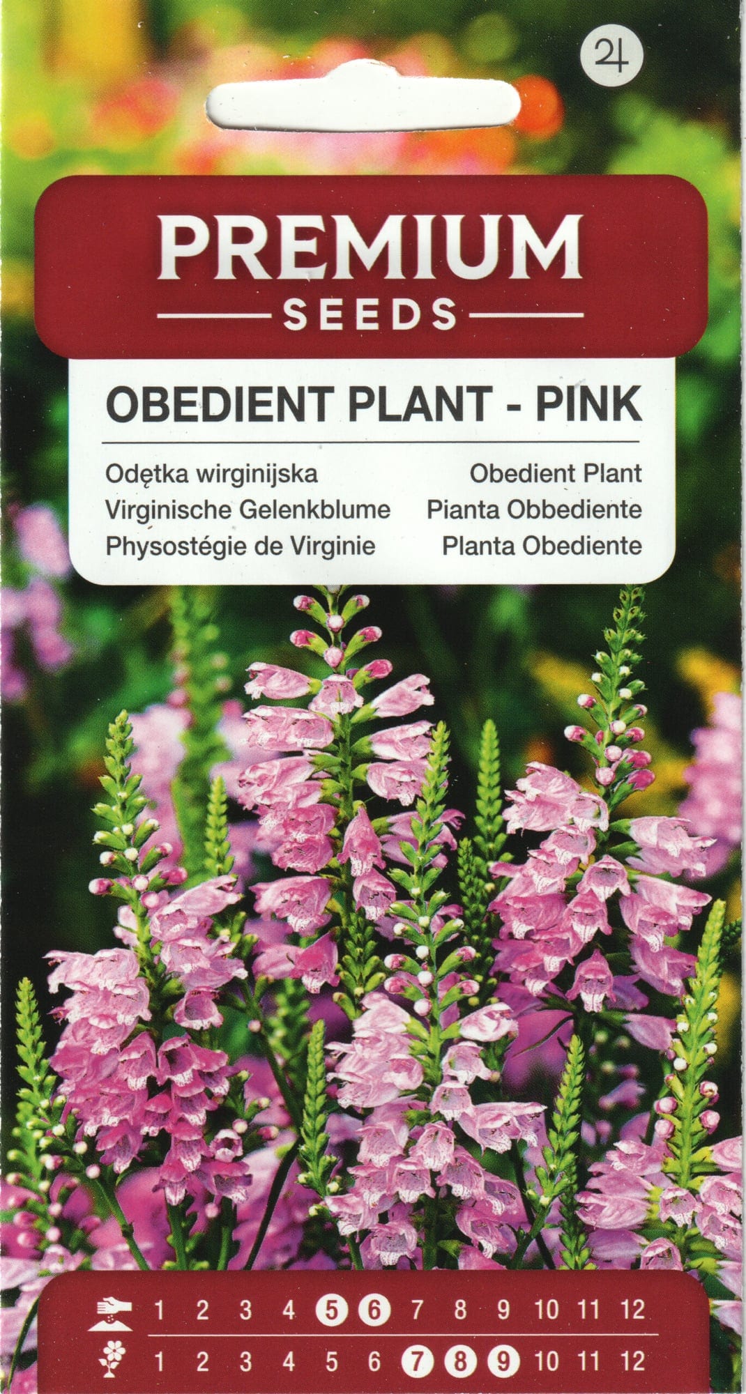 Virgiinia tonditupik roosa
