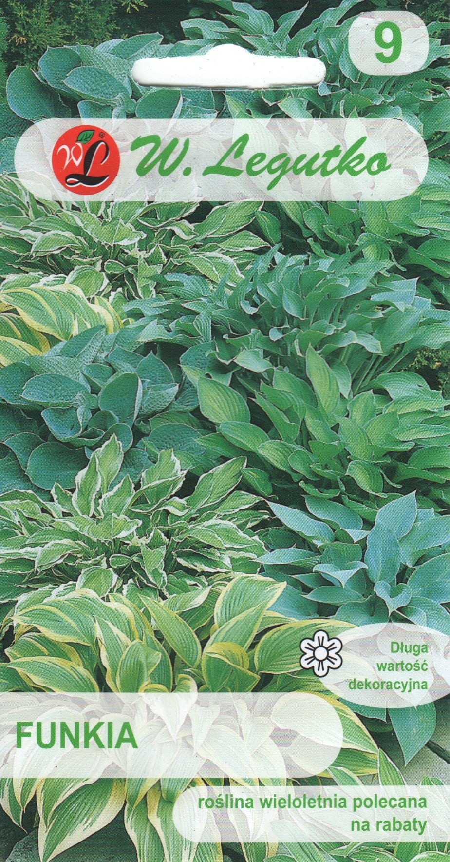 Hosta värvide segu