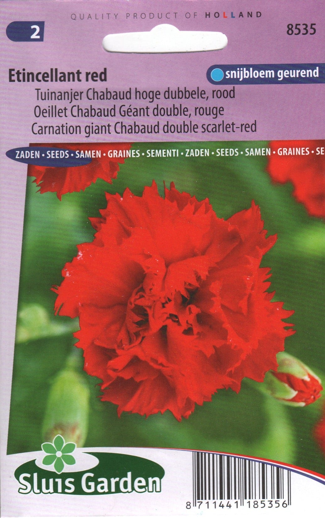 Šaboonelk "Etincellant Red Chabaud"