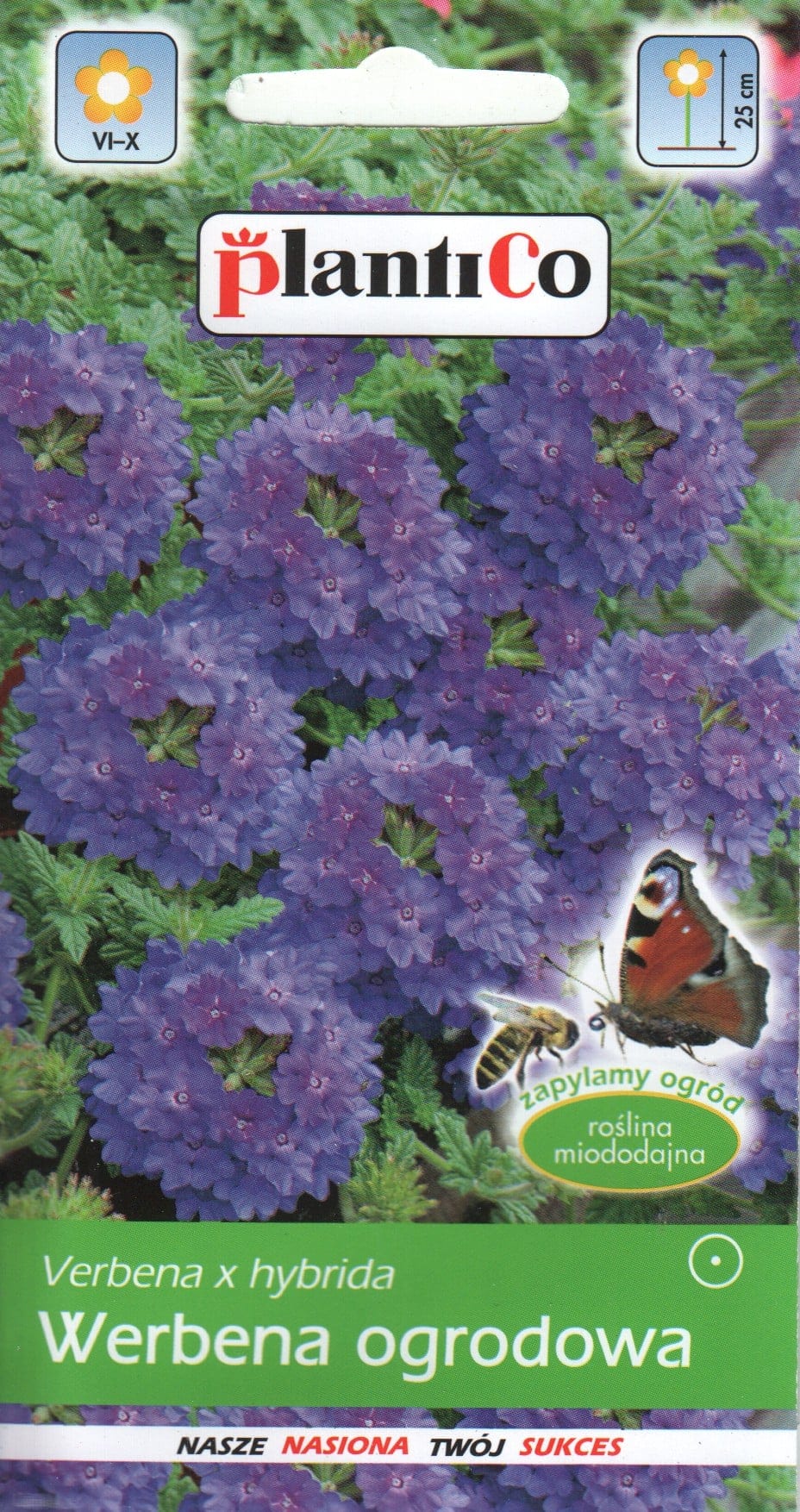 Aed-raudürt violetne