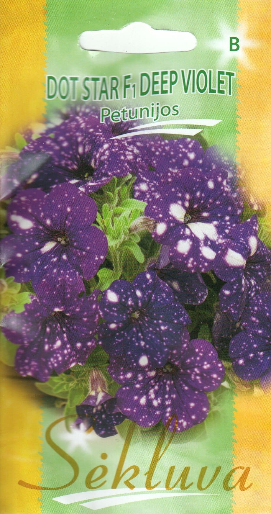 Petuunia "Dot Star Deep Violet" F1