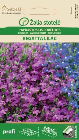 Lobeelia "Regatta Lilac"