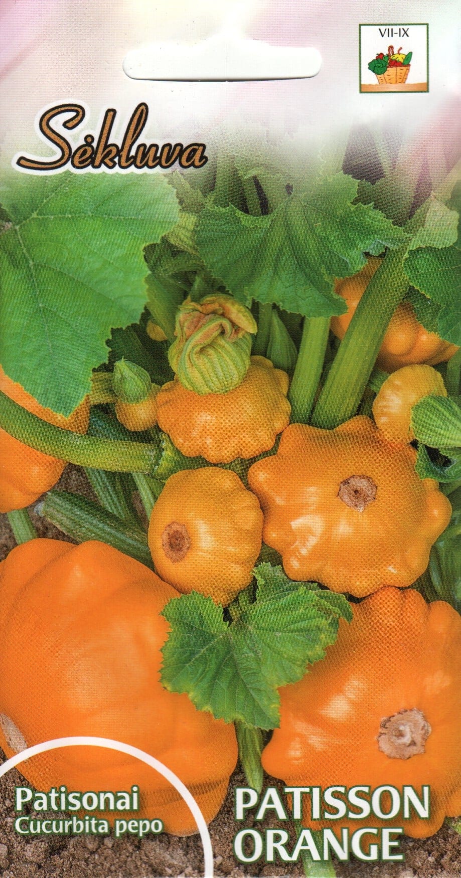 Patisson "Orange"