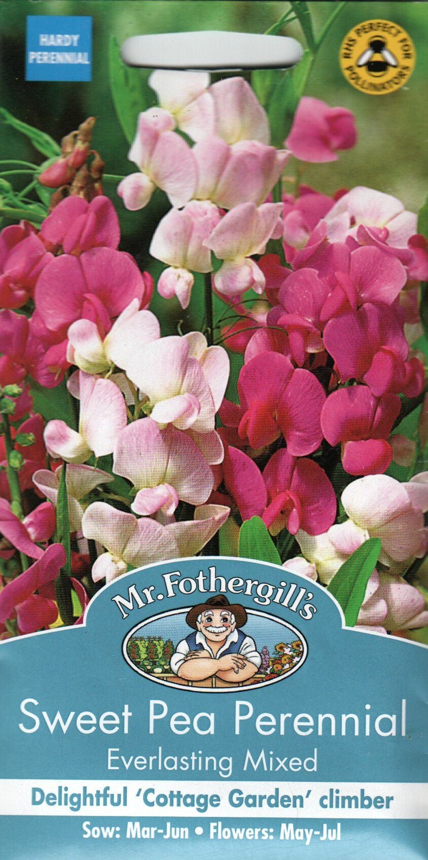 Laialehine seahernes "Everlasting Mixed"