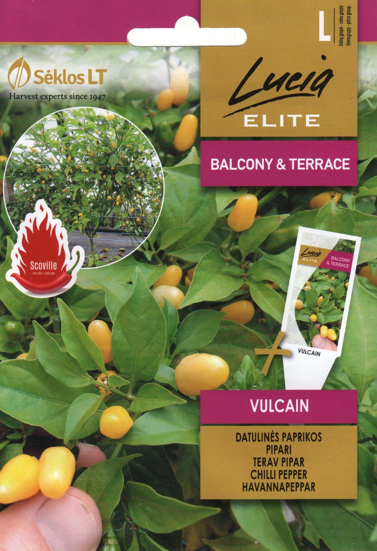 Kariibi paprika "Vulcain"