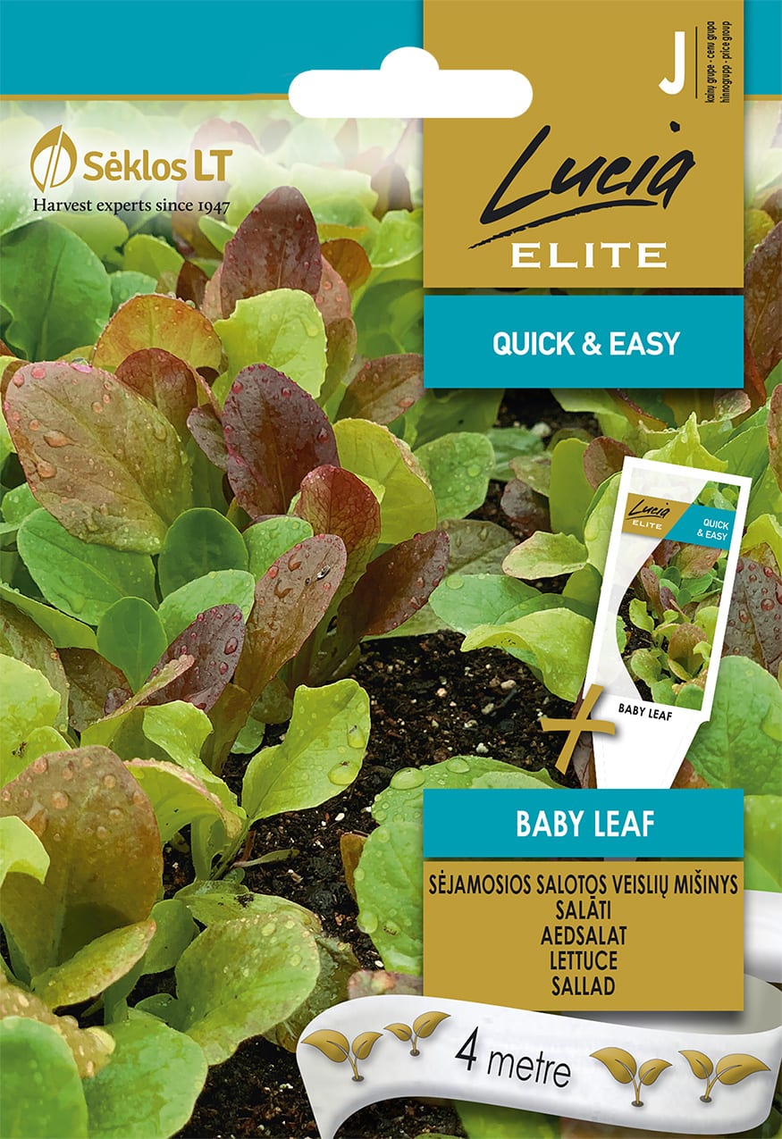 Aedsalatite segu - Baby Leaf - lindil 4 meetrit