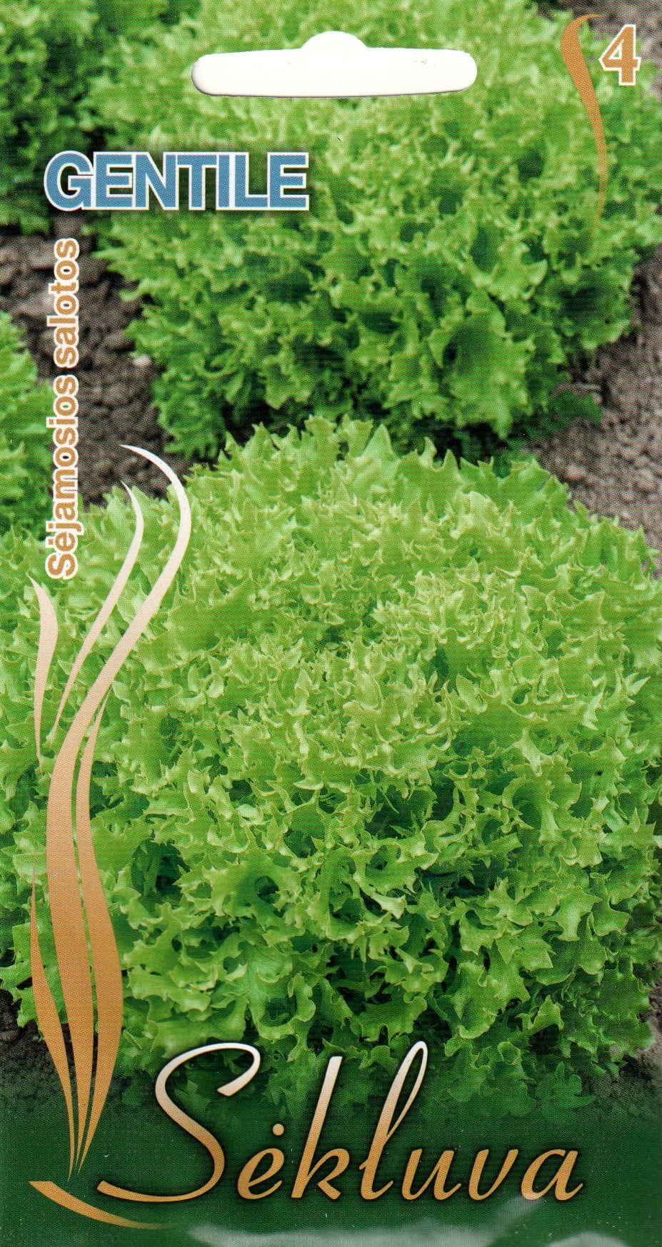 Lehtsalat "Gentile"