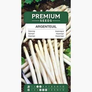 Spargel "Argenteuil"