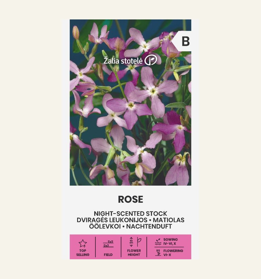 Öölevkoi "Rose"
