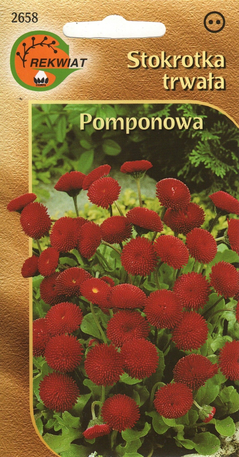 Harilik kirikakar "Pomponette Daisy Red"